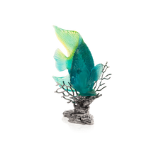 Load image into Gallery viewer, Maya Turquoise Royal Angelfish