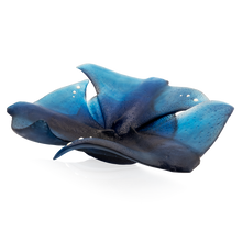 Load image into Gallery viewer, Maya Rays Centerpiece