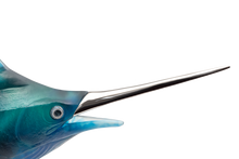 Load image into Gallery viewer, Maya Emperor Sailfish