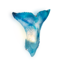 Load image into Gallery viewer, Maya Whale Wall Lamp