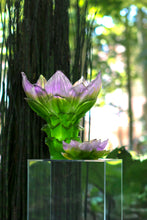 Load image into Gallery viewer, Large Vase - Jardin de Lotus