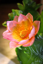 Load image into Gallery viewer, Magnum Vase - Jardin de Lotus