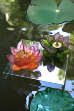 Load image into Gallery viewer, Amber Pink Incense Holder - Jardin de Lotus
