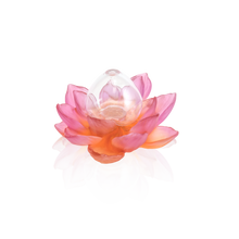 Load image into Gallery viewer, Amber Pink Soliflore - Jardin de Lotus