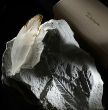 Load image into Gallery viewer, Plum'ky by PATRICK ROUGEREAU